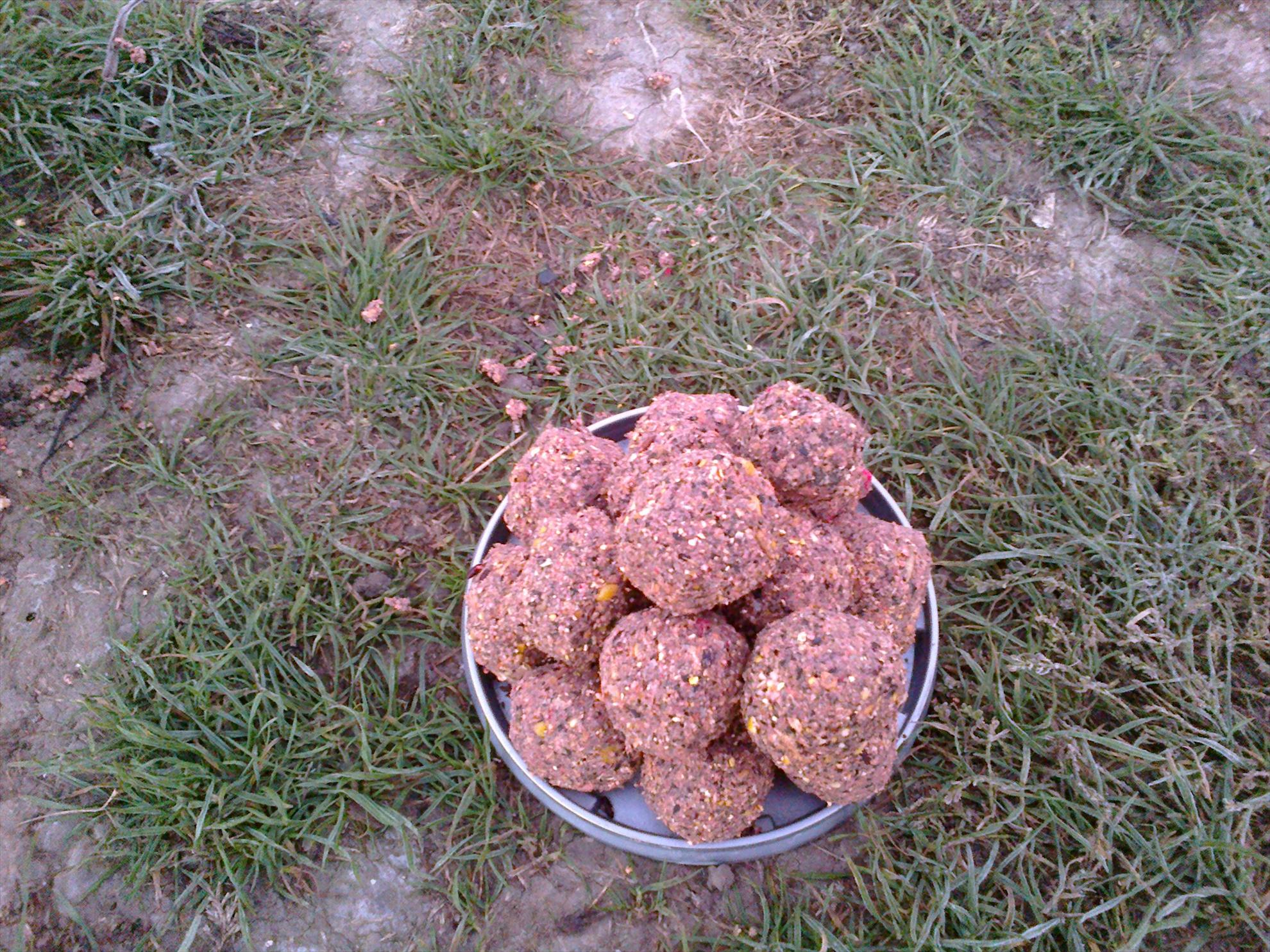 pescuit M.Vlasiei  2012 - 29112012835.jpg